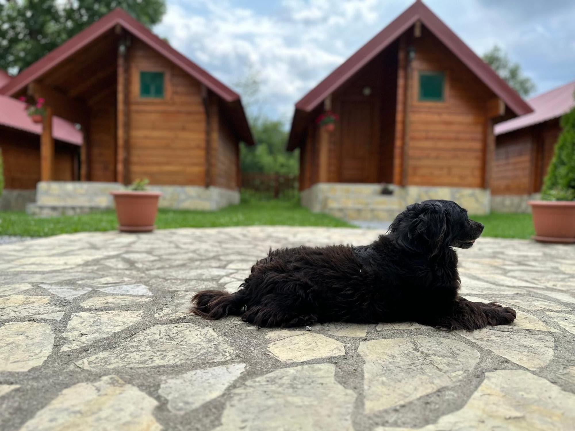 Tara Valley Eco Lounge โมจโคแวก ภายนอก รูปภาพ